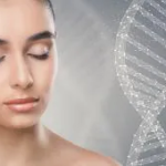 L'Encyclopédie de la Peau Sans Défaut : CELLULES SOUCHES