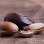 Huile d'argan - Or Liquide Anti-âge. Protection des Cheveux Contre la Chaleur