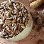 Huile de Babassu - soin de haute qualité pour les cheveux à faible porosité