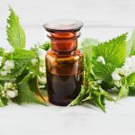 Traitements du cuir chevelu pour des cheveux longs et sains - les meilleurs cosmétiques maison