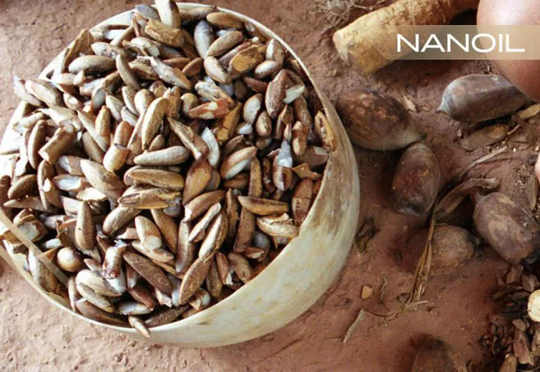 Huile de Babassu - soin de haute qualité pour les cheveux à faible porosité